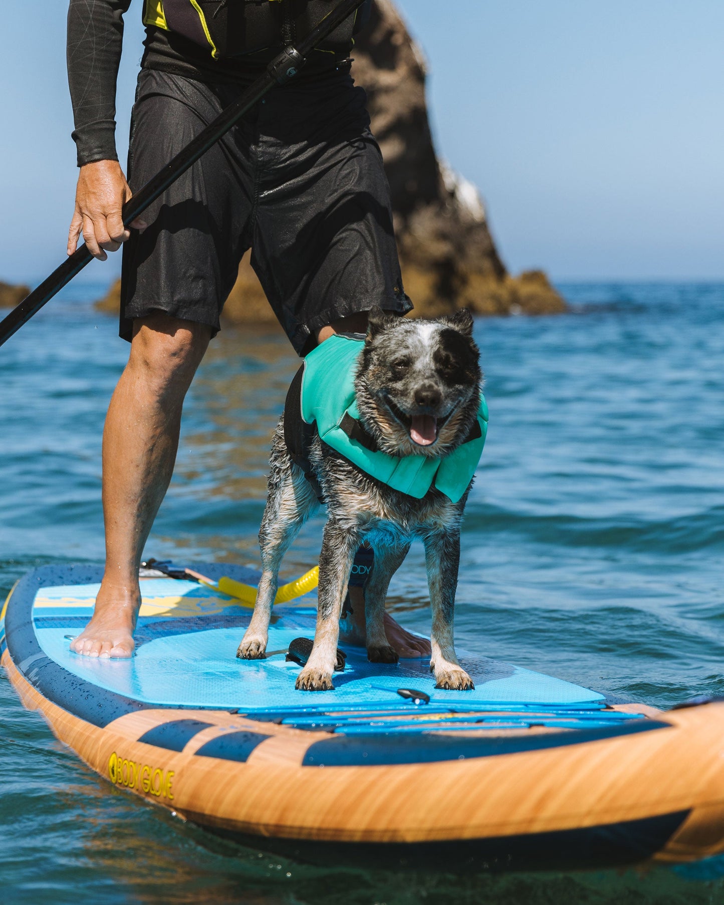 Accessories|Men|Life Jackets Body Glove Neoprene Pet Life Jacket