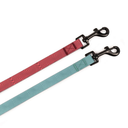 Accessories Body Glove Beach Walk Convertible Pet Leash