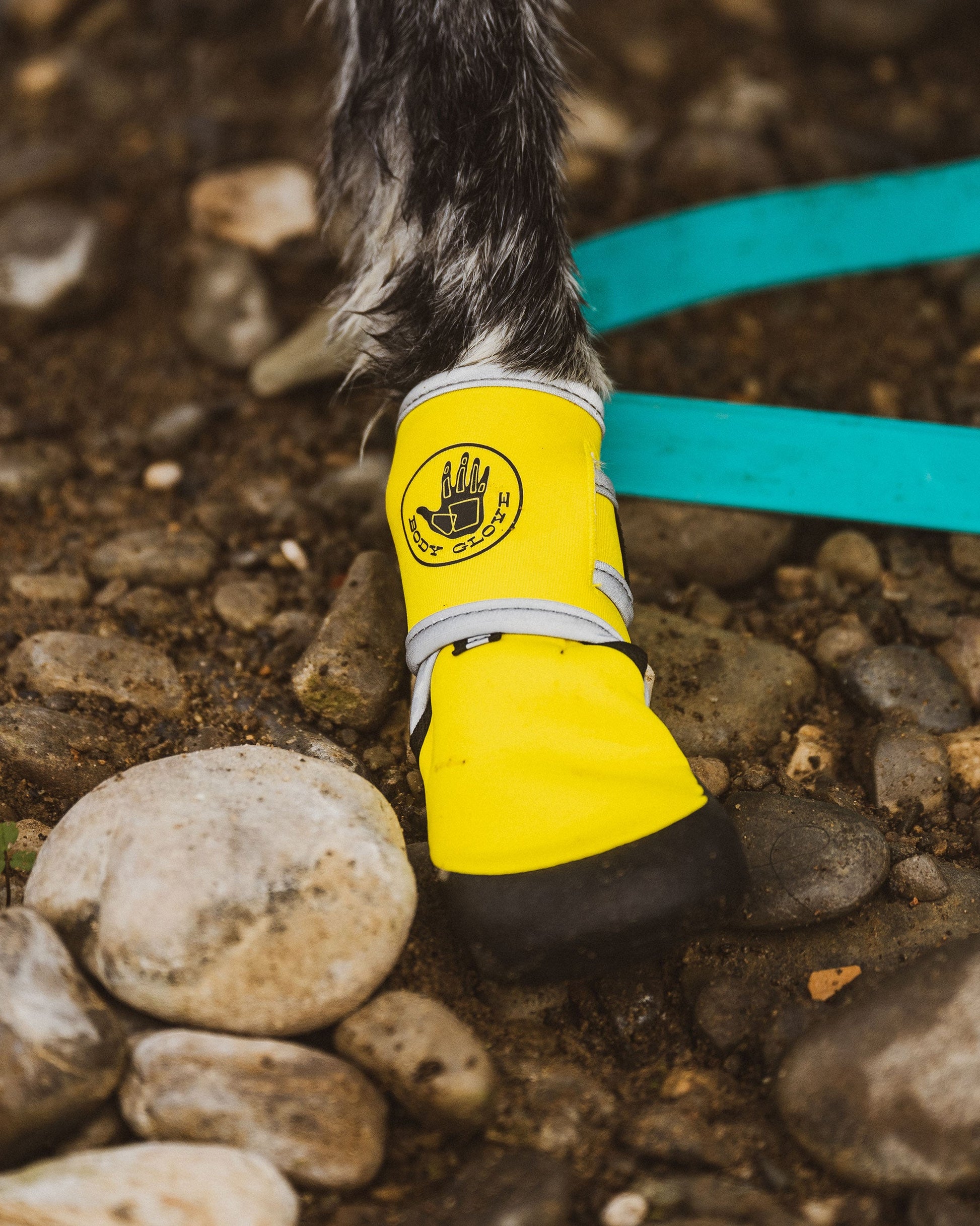 Accessories Body Glove Paw Protector Booties