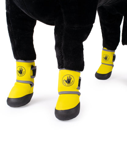 Accessories Body Glove Paw Protector Booties