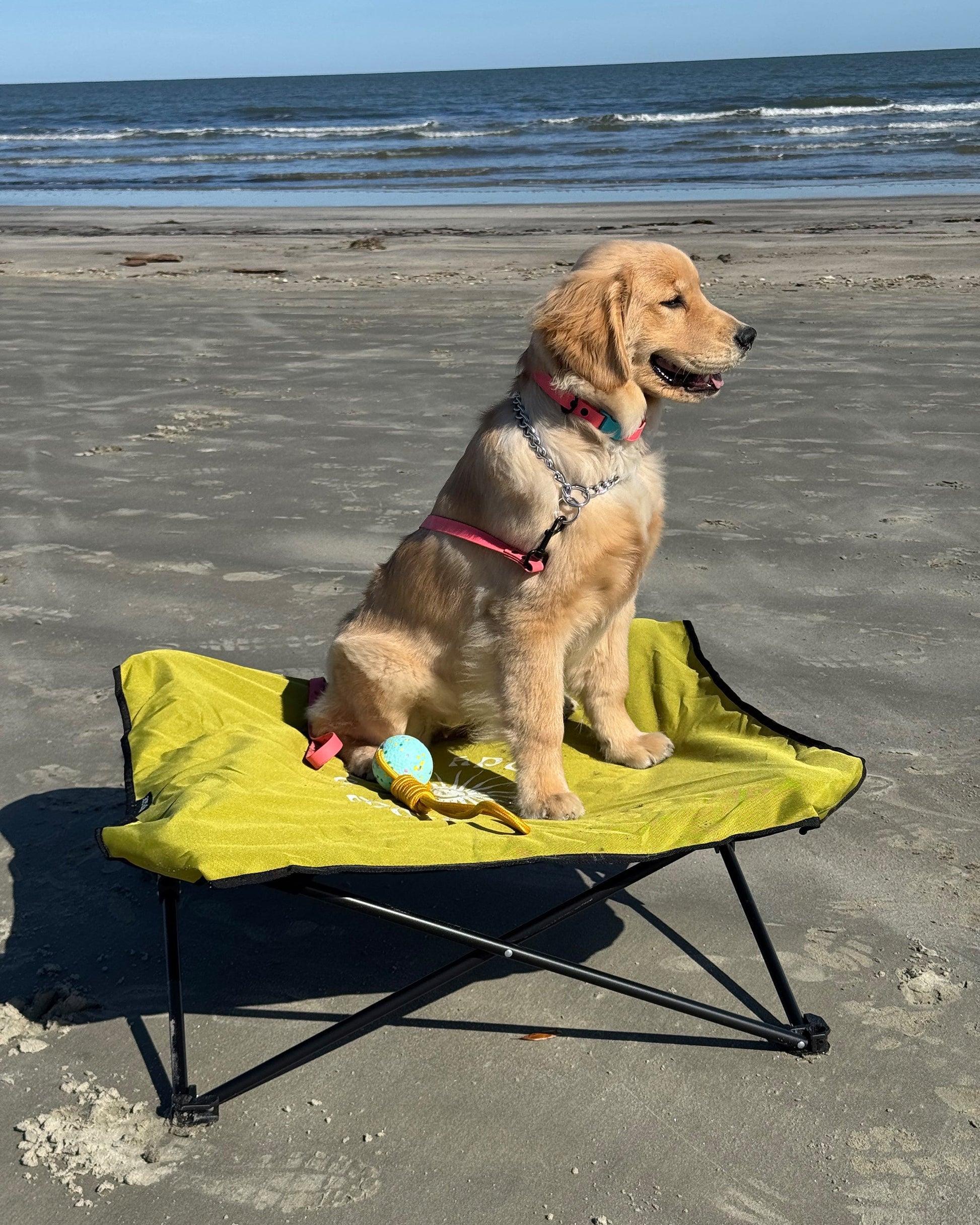 Accessories Body Glove Fold & Go Pet Cot