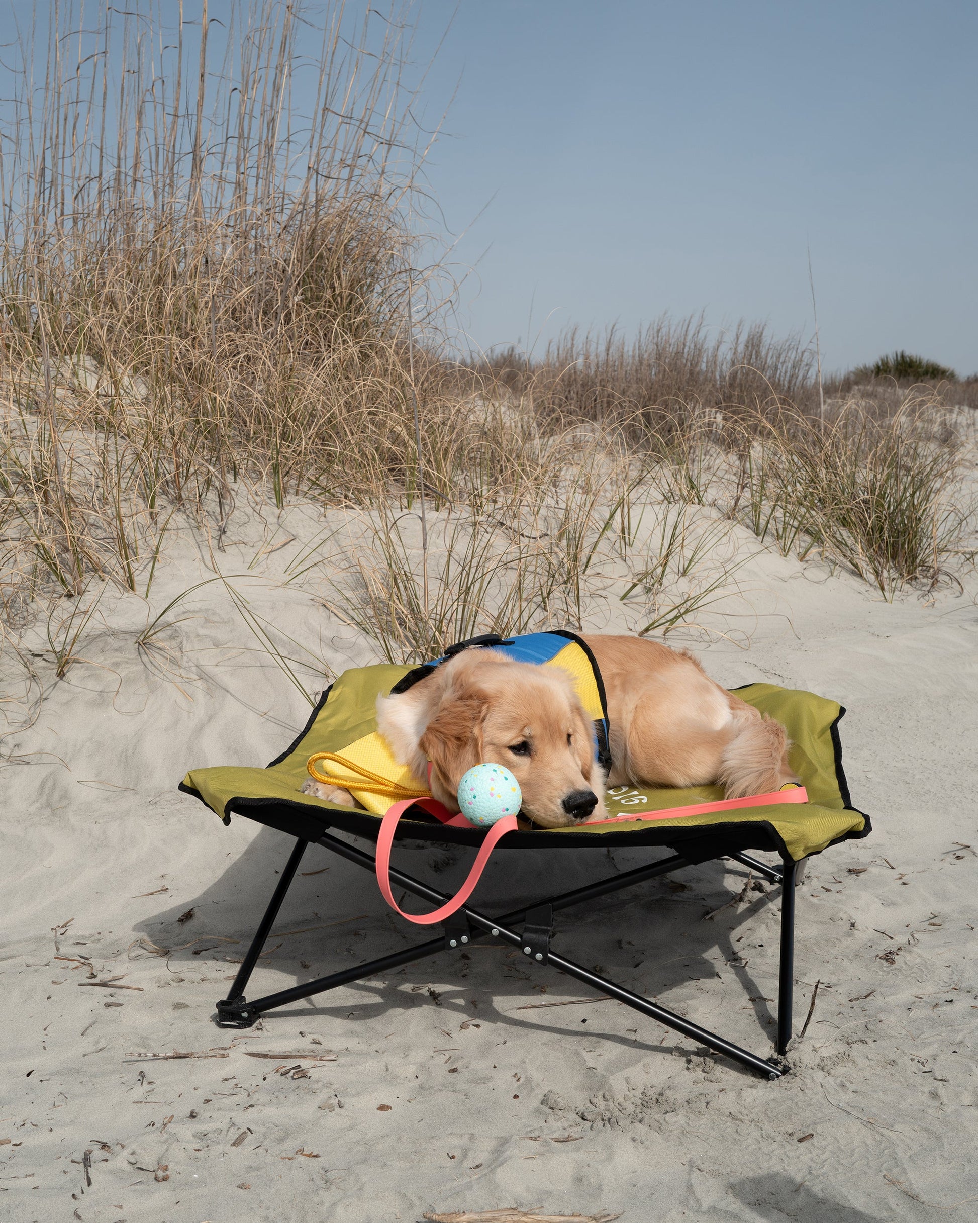 Accessories Body Glove Fold & Go Pet Cot