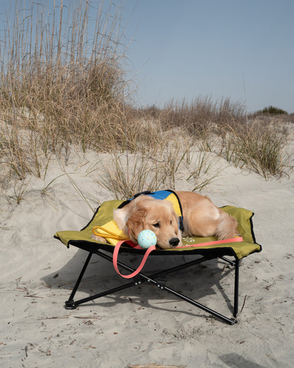 Accessories Body Glove Fold & Go Pet Cot