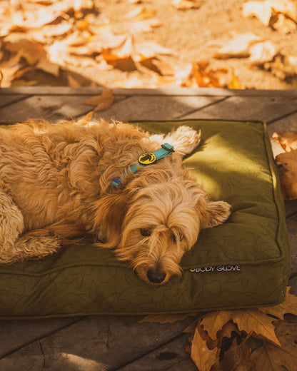 Moss,XS