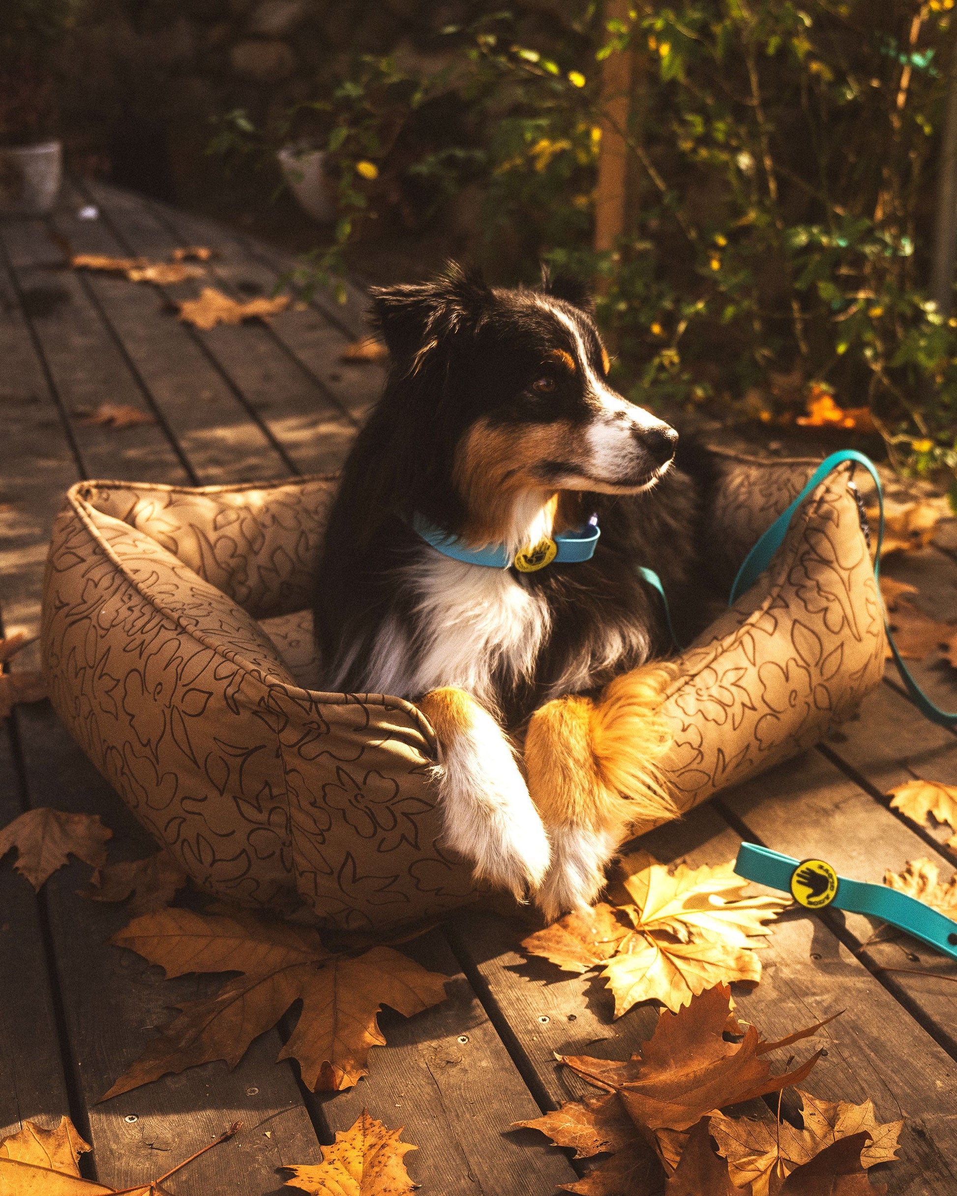 Accessories Body Glove Paintflower Kuddler Pet Bed